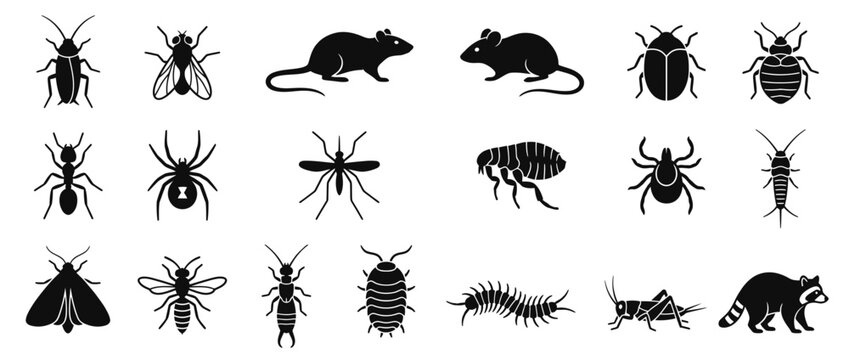 Collection of common pest and insect silhouette icons