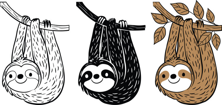 Sloth illustration set hanging from tree branch