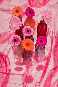 abstract art with arrangement of red, purple and pink glass vases, germinis or gerbera flowers and fabric