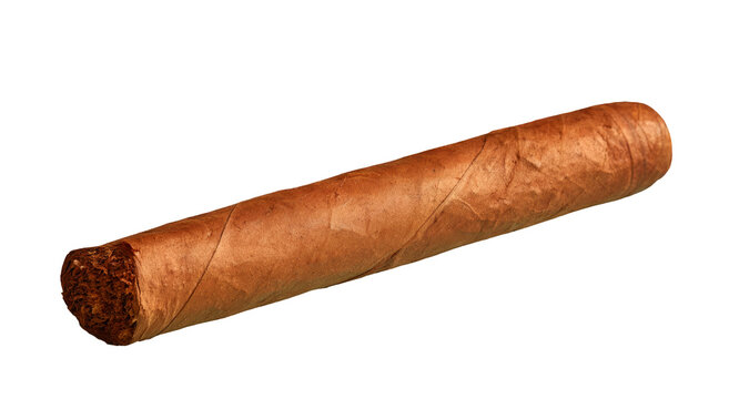 Isolated Brown Rolled Cigar