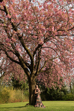 art portait of girl in floral dress standing under pink cherry blossom tree in spring