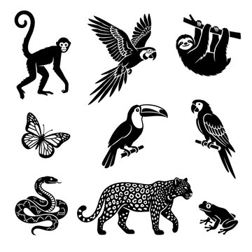 Set of black silhouette tropical rainforest animals and exotic jungle wildlife icons