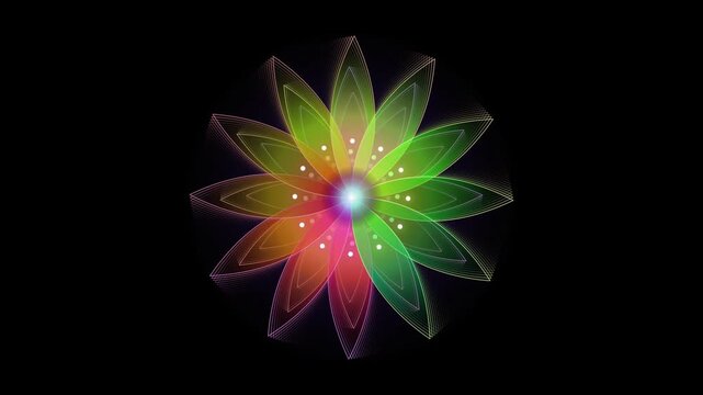 Glowing rainbow lotus flower animation, vibrant neon floral mandala on black, psychedelic light effect motion graphic
