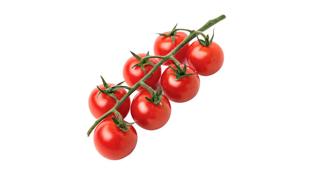 Branch of fresh ripe red cherry tomatoes on vine isolated on transparent background