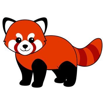 Friendly Red Panda Character Design With Cute Fluffy Appearance