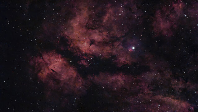 Dark Nebula Star Field Cygnus