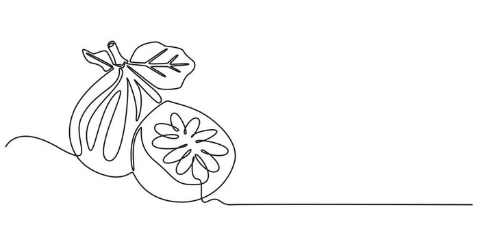 Animated self drawing of   Abstract fig fruit with leaves, Continuous one line drawing isolated on white background, Continuous one single minimal line drawing Figs fruit, Single one line drawing, pro