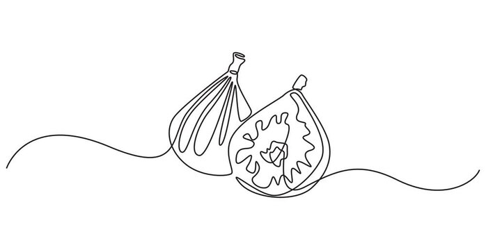 Animated self drawing of   Abstract fig fruit with leaves, Continuous one line drawing isolated on white background, Continuous one single minimal line drawing Figs fruit, Single one line drawing, pro