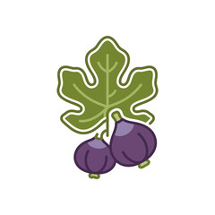 Fototapeta premium Fresh Figs with Green Leaf Illustration.