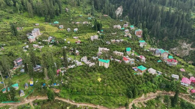 High angle drone tracking shot over terraced apple orchard farms and colorful rural homes in Barshaini village, highlighting Himachal apple industry cultivation.