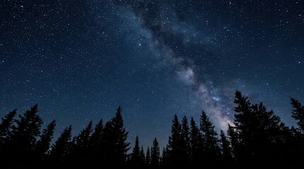Fototapeta premium Night sky with visible stars above a dark forest silhouette