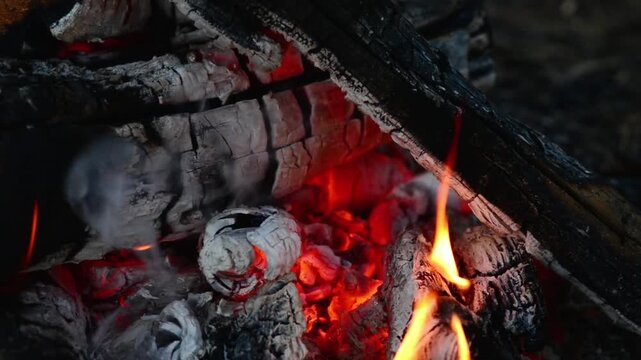 Burning firewood logs with glowing hot embers and small flames close up. Seamless looping macro video of burning firewood logs with glowing hot embers. Ideal background for ASMR and editing.