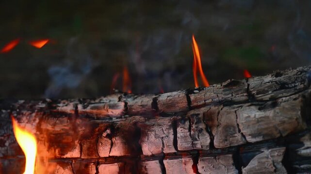 Burning firewood logs with small flames and smoke close up. Seamless macro loop of burning logs and soft smoke. Ideal cozy visual backdrop for relaxing ambient media projects.