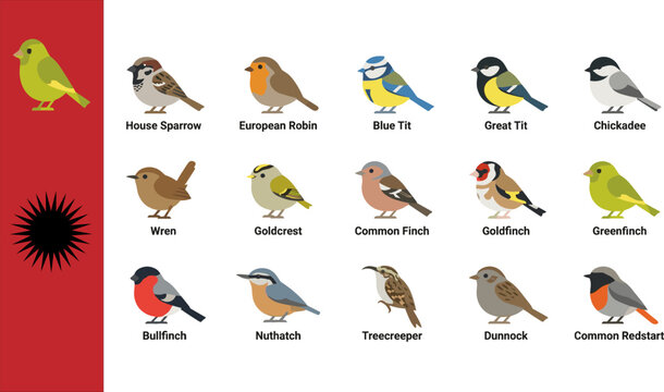 Collection of fifteen small garden bird icons featuring House Sparrow European Robin Blue Tit Great Tit Chickadee Wren Goldcrest Finch