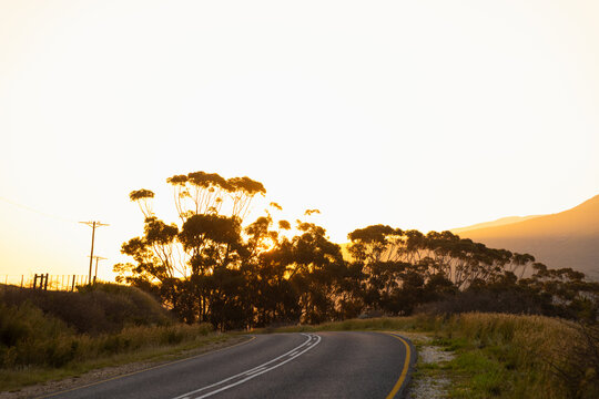 asphalt road and trees at sunset, Stanford, South Africa