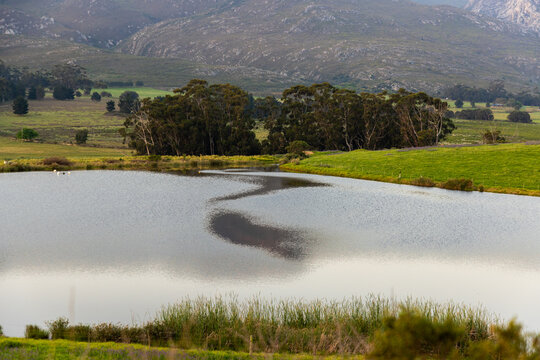 Mountain and Pond with reflection at sunset, Stanford, South Africa