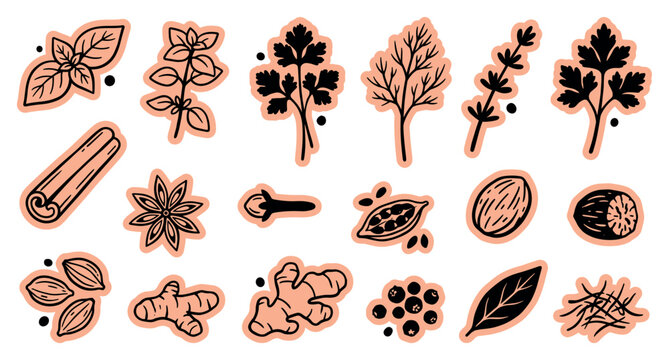 Hand drawn herbs and spices sticker set featuring basil, cinnamon, star anise, ginger, rosemary, parsley, and cardamom icons for culinary and cooking designs