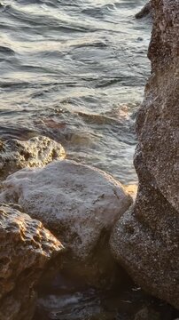 Ocean waves gently washing against weathered coastal rocks during golden hour sunset. Vertical video shot with static framing.