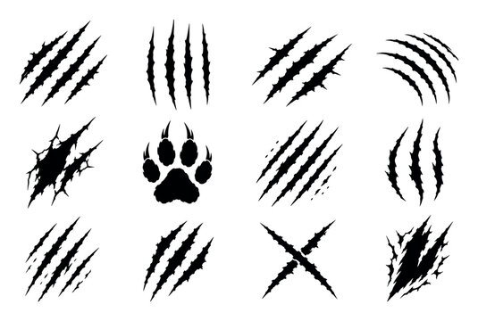 Black claw scratch marks and paw print set featuring various animal slash designs, monster tear effects, and wild beast attack silhouettes