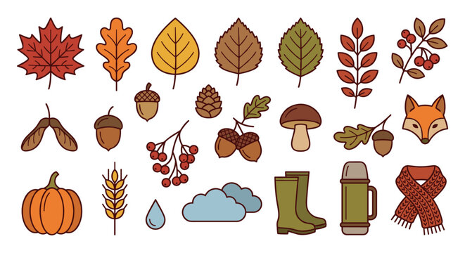 Autumn vector icon set with forest leaves, acorns, berries, pumpkin, mushroom, fox, rubber boots, thermos, and scarf in a flat line art style for seasonal design