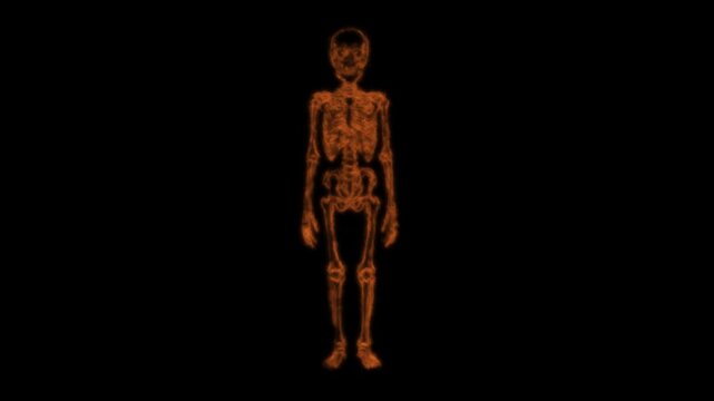 Skeleton Standing Still Animation Against Black Background