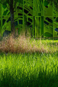 Green structure and grass around a tree create abstract urban texture in architecture with light and layered exterior surfaces