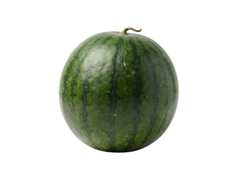 Fresh green watermelon with striped rind on transparent background