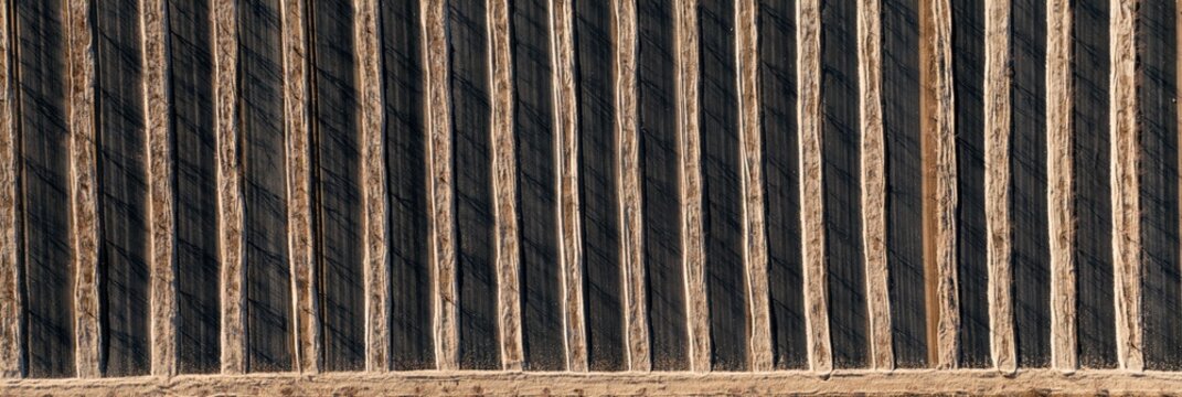Abstract aerial view of parallel wooden planks with textured grain and warm sunlight