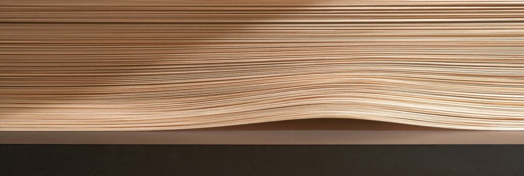 Abstract composition of many thin stretched paper cords in warm beige tones