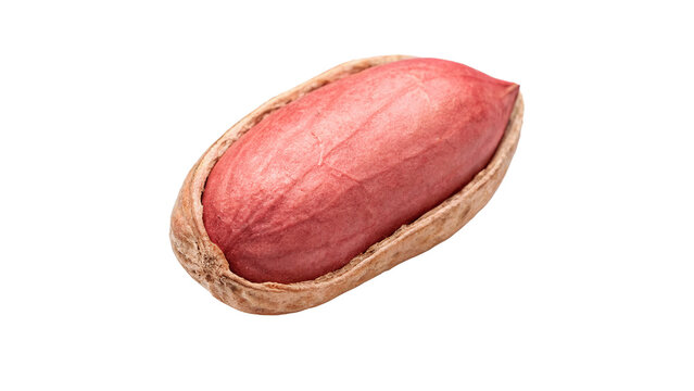 Single whole raw peanut unpeeled healthy organic snack isolated on transparent background