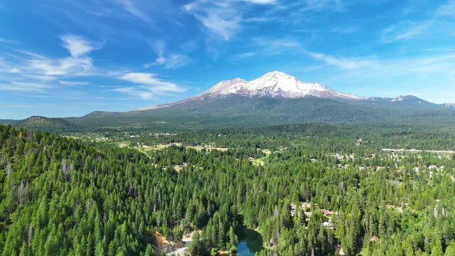 Scenic wide view of the majestic snow-capped Mount Shasta reflecting on the pristine blue waters of Lake Siskiyou, beautifully framed by a dense green pine forest in California, USA