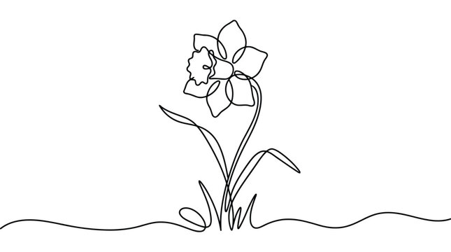 Premium single line drawing of a daffodil flower with leaves and grass