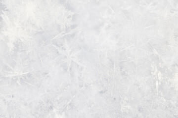 Obraz premium Winter white snow background, abstract blurred snowfall surface