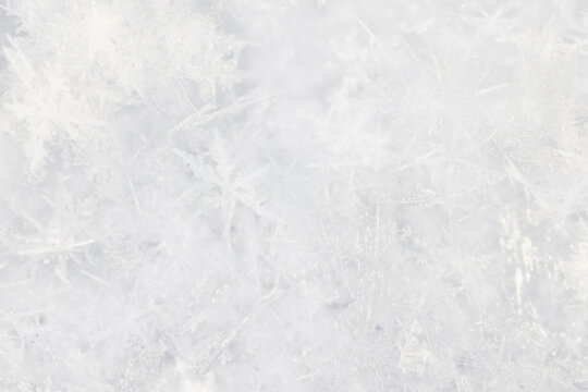 Winter white snow background, abstract blurred snowfall surface