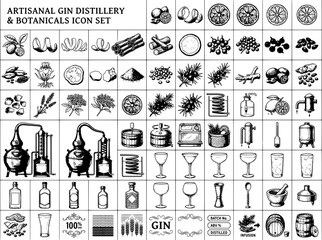 Fototapeta premium Artisanal gin distillery and botanicals icon set with detailed engraved illustrations