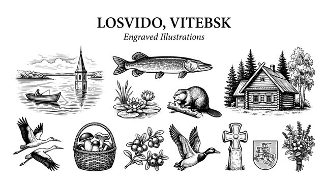Engraved illustrations showcasing nature and culture of Losvido, Vitebsk region in black and white art style