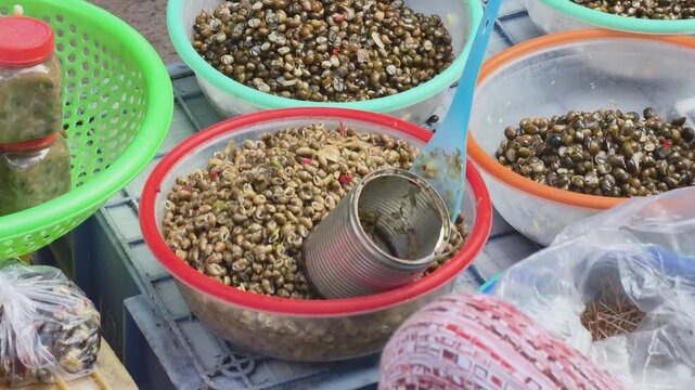 merchant selling various types of fresh small snails and shellfish in plastic basins at a rural wet market in Central Vietnam