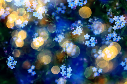 summer nature golden bokeh delicate soft color abstract background