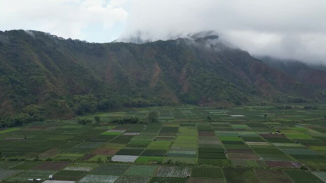 Aerial View of Sembalun Agriculture Fields Beneath Mount Rinjani