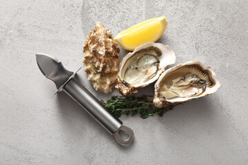 Delicious fresh oysters with lemon and thyme on grey background © Pixel-Shot