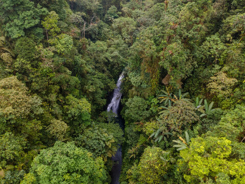 Aerial View of Hidden Lesung Waterfall Deep in the Jungle on the Slopes of Mount Slamet, A Cave-Like Tunnel Formed by Wild Trees, Moss, and Rocks Frames the Waterfall in Indonesia.
