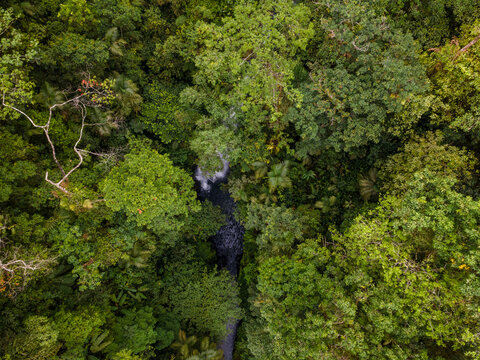 Aerial View of Hidden Lesung Waterfall Deep in the Jungle on the Slopes of Mount Slamet, A Cave-Like Tunnel Formed by Wild Trees, Moss, and Rocks Frames the Waterfall in Indonesia.