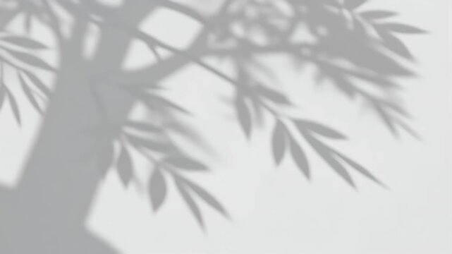Soft shadows of bamboo leaves cast on a textured white background.