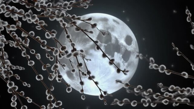 Full Moon Night with Pussy Willow Branches and Stars