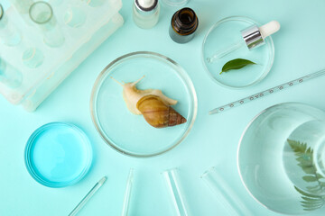 Petri dishes with Achatina snail, cosmetic products and plants on turquoise background © Pixel-Shot