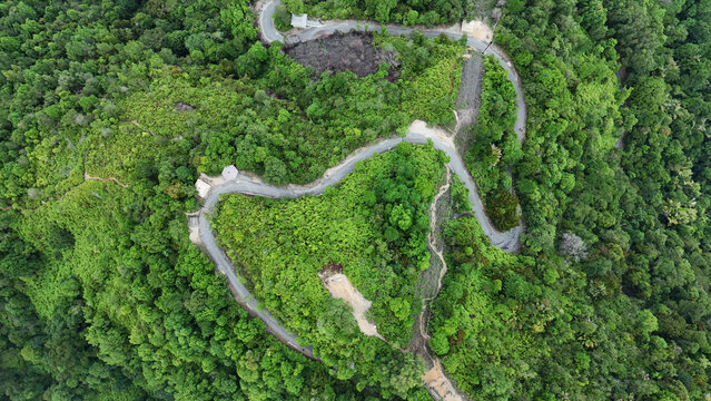 Aerial view of a winding road surrounded by dense lush green tropical forest.
