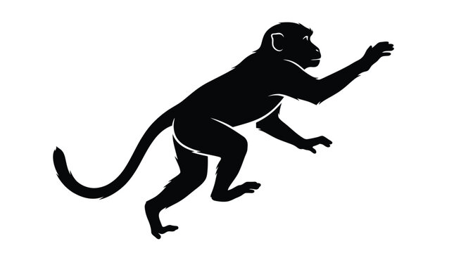 Monkey silhouette depicts a wild primate reaching forward in a stylized black and white graphic.