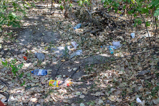 Plastic bottles and household litter scattered among dry leaves and vegetation, illustrating environmental pollution and illegal dumping.