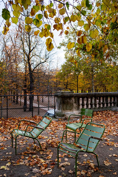 Green chairs among fallen autumn leaves in Tuileries Garden Paris France create a quiet park seating scene beneath trees with seasonal foliage