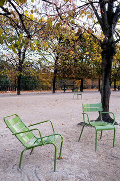 Empty green chairs in Tuileries Garden Paris France create a quiet autumn park scene on gravel beneath trees with seasonal leaves and open seating
